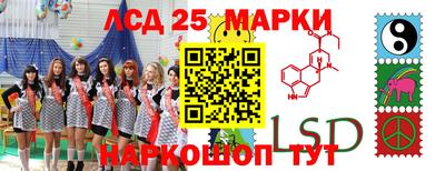 спиды Моздок