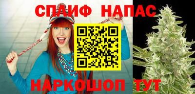 спиды Моздок