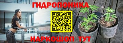 спиды Моздок