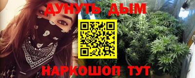 сатива Можга