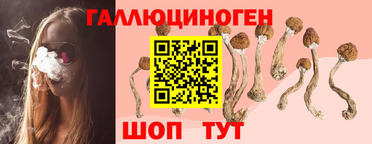 Псилоцибиновые грибы ЛСД Тула